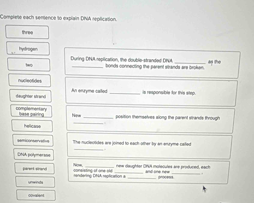 Complete each sentence to explain DNA replication. 
three 
hydrogen 
During DNA replication, the double-stranded DNA _as the 
two _bonds connecting the parent strands are broken. 
nucleotides 
An enzyme called _is responsible for this step. 
daughter strand 
_ 
complementary 
_ 
base pairing New _position themselves along the parent strands through 
helicase 
semiconservative The nucleotides are joined to each other by an enzyme called 
_, 
DNA polymerase 
Now, _new daughter DNA molecules are produced, each 
parent strand consisting of one old _and one new_ 
rendering DNA replication a _process. 
unwinds 
covalent