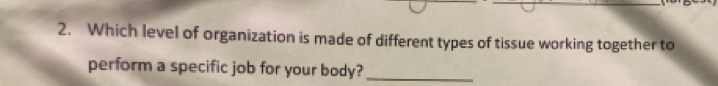 Which level of organization is made of different types of tissue working together to 
perform a specific job for your body?_