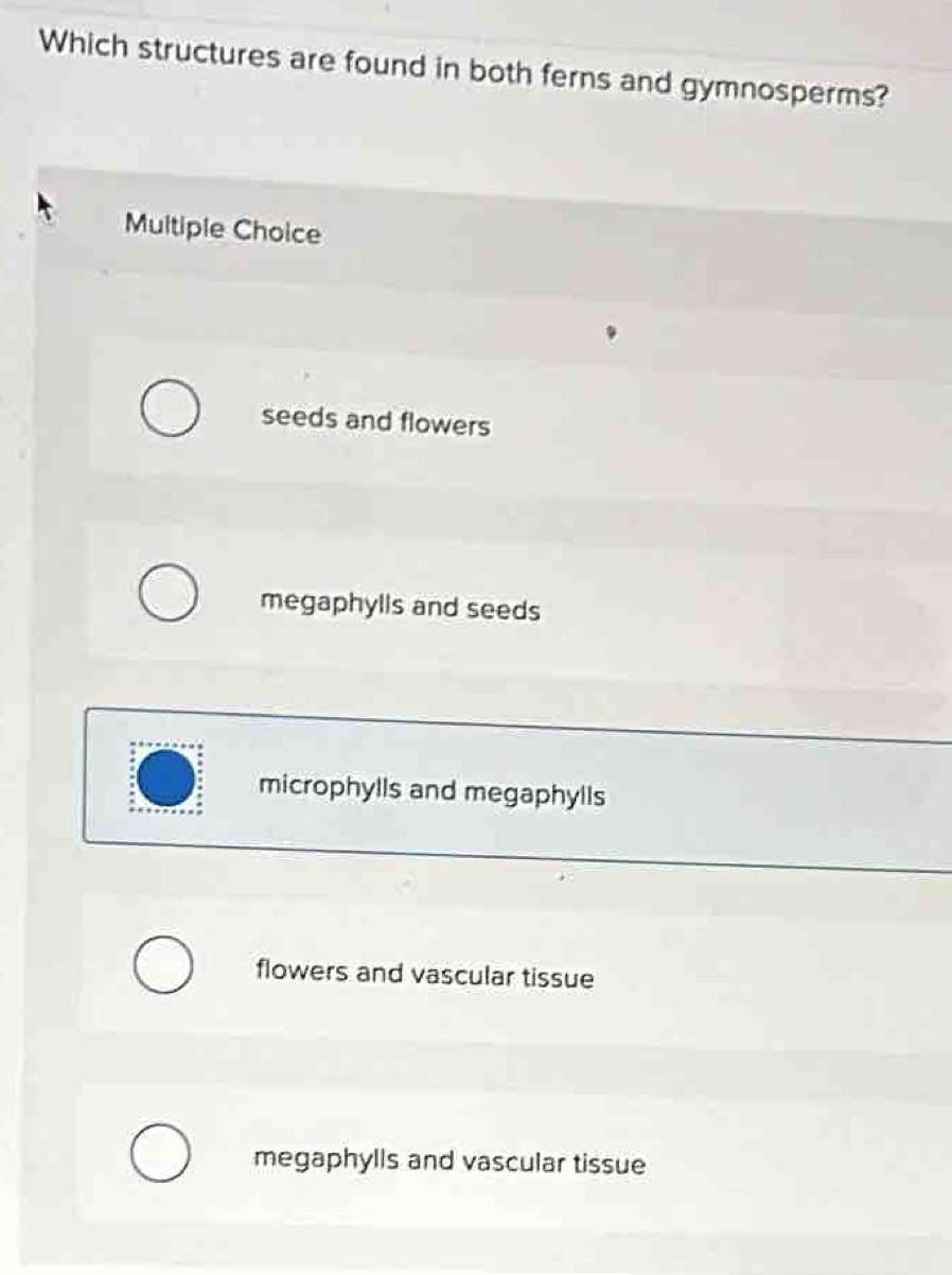 Which structures are found in both ferns and gymnosperms?
Multiple Choice
seeds and flowers
megaphylls and seeds
microphylls and megaphylls
flowers and vascular tissue
megaphylls and vascular tissue