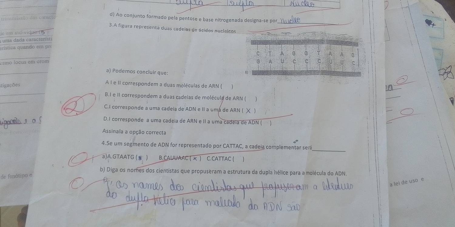 Ao conjunto formado pela pentose e base nitrogenada designa-se por
_
transmissão das e
3.A figura representa duas cadelas de ácidos nucleicos
e um ind
uma dada característi
erística quando em pro
esmo locus em crom C I A G G T A A G
G A U C C C U
_
a) Podemos concluir que:
stigações
A I e II correspondem a duas moléculas de ARN ( )
_
_
B.I e II correspondem a duas cadeias de molécula de ARN ( )
C.I corresponde a uma cadeia de ADN e II a uma de ARN ( )
D.I corresponde a uma cadeia de ARN e II a uma cadeia de ADN ( )
Assinala a opção correcta
_
4.Se um segmento de ADN for representado por CATTAC, a cadeia complementar será
a)A.GTAATG () B.CAUUAAC ( x ) C.CATTAC ( )
b) Diga os nomes dos cientistas que propuseram a estrutura da dupla hélice para a molécula do ADN.
de fenótipo e
a lei de uso