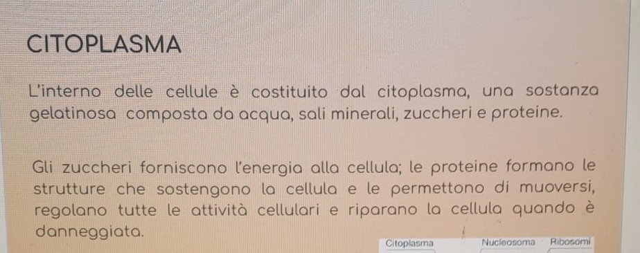 CITOPLASMA 
L'interno delle cellule è costituito dal citoplasma, una sostanza 
gelatinosa composta da acqua, sali minerali, zuccheri e proteine. 
Gli zuccheri forniscono l'energia alla cellula; le proteine formano le 
strutture che sostengono la cellula e le permettono di muoversi, 
regolano tutte le attività cellulari e riparano la cellula quando è 
danneggiata. 
Citoplasma Nucleosoma Ribosomi