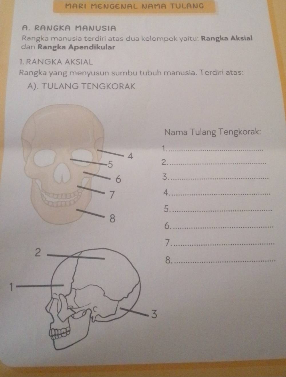 MARI MENGENAL NAMA TULANG 
A. RANGKA MANUSIA 
Rangka manusia terdiri atas dua kelompok yaitu: Rangka Aksial 
dan Rangka Apendikular 
1. RANGKA AKSIAL 
Rangka yang menyusun sumbu tubuh manusia. Terdiri atas: 
A). TULANG TENGKORAK 
Nama Tulang Tengkorak: 
1._ 
2._ 
3._ 
4._ 
5._ 
6._ 
_ 
._