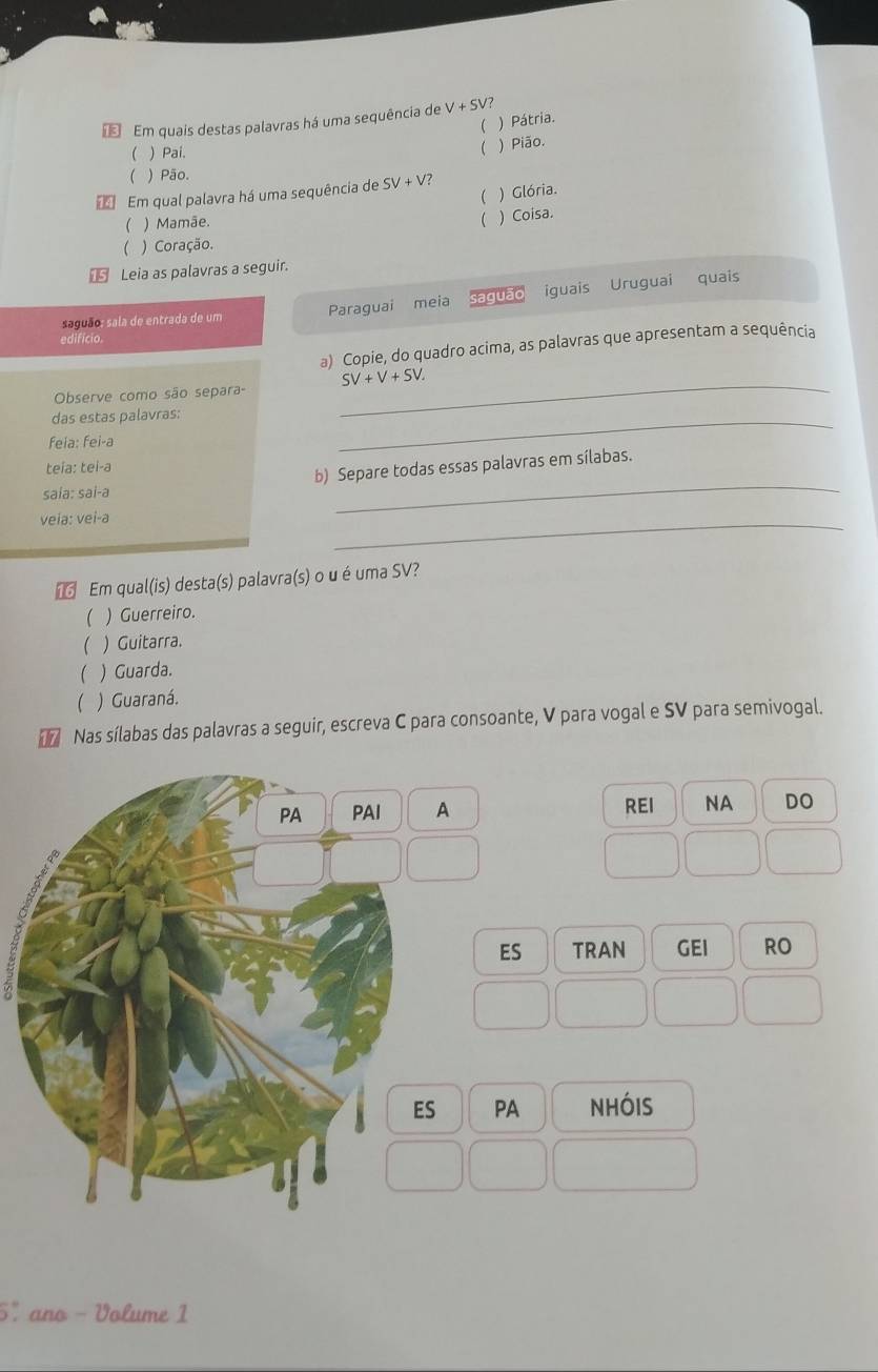 Em quais destas palavras há uma sequência de V+SV? 
( ) Pátria.
( ) Pai.
( ) Pião.
( ) Pão.
( ) Glória.
Em qual palavra há uma sequência de SV+V? 
 ) Mamãe. ( ) Coisa.
( ) Coração.
15 Leia as palavras a seguir.
saguão; sala de entrada de um Paraguai meia saguão iguais Uruguai quais
edificio
a) Copie, do quadro acima, as palavras que apresentam a sequência
Observe como são separa _ SV+V+SV
das estas palavras:
feia: fei-a
_
teïa: tei-a
saía: sai-a b) Separe todas essas palavras em sílabas.
veia: vei-a
_
Em qual(is) desta(s) palavra(s) o u é uma SV?
) Guerreiro.
 ) Guitarra.
 )Guarda.
) Guaraná.
T Nas sílabas das palavras a seguir, escreva C para consoante, V para vogal e SV para semivogal.
REI NA DO
ES TRAN GEI RO
PA nhóis
5º ano - Volume 1