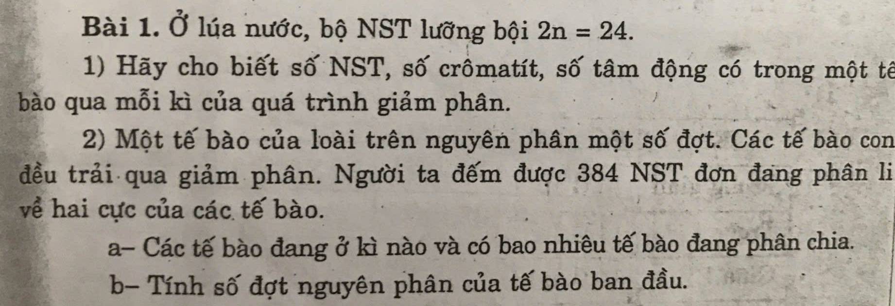 Ở lúa nước, bộ NST lưỡng bội 2n=24. 
1) Hãy cho biết số NST, số crômatít, số tâm động có trong một tế 
bào qua mỗi kì của quá trình giảm phân. 
2) Một tế bào của loài trên nguyên phân một số đợt. Các tế bào con 
đều trải qua giảm phân. Người ta đếm được 384 NST đơn đang phân li 
về hai cực của các tế bào. 
a- Các tế bào đang ở kì nào và có bao nhiêu tế bào đang phân chia. 
b- Tính số đợt nguyên phân của tế bào ban đầu.