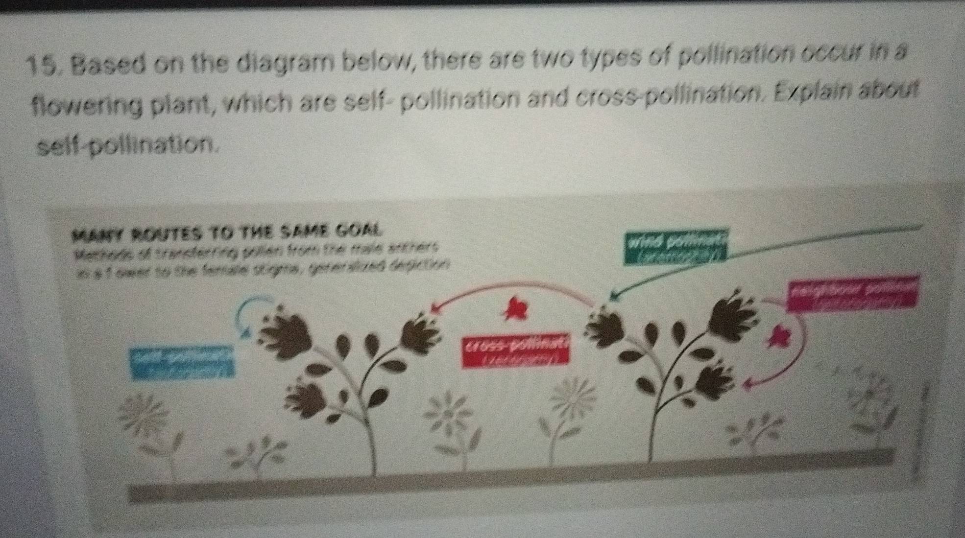 Selesai:Based on the diagram below, there are two types of pollination ...