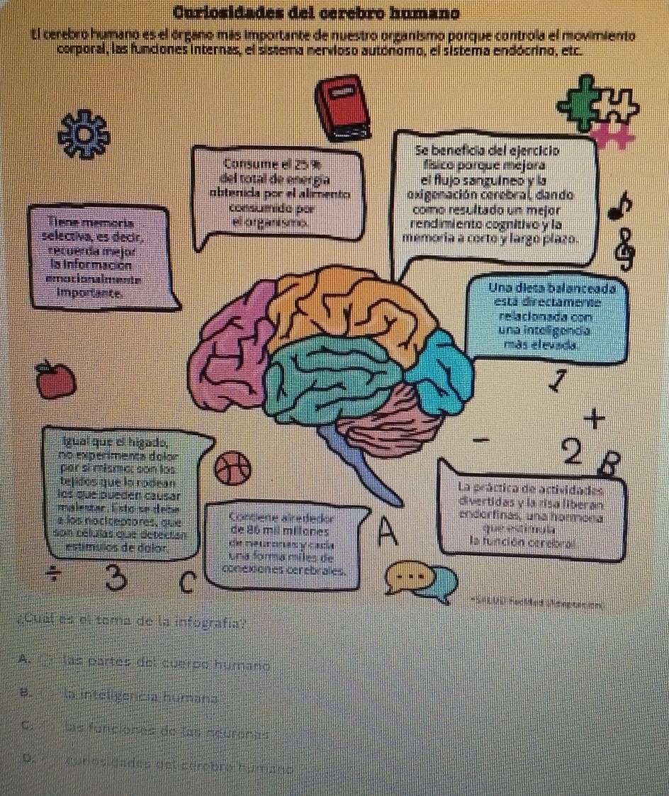 Curiosidades del cerebro humano
El cerebro humano es el órgano más importante de nuestro organismo porque controla el movimiento
corporal, las funciones internas, el sistema nervioso autónomo, el sistema endócrino, etc.
¿Cuál es el tema de la infografía?
A. las partes del cuerpo humano
B. la inteligencia humana
C. las funciones do las neuronas
D. cunosidades del cérebro humano