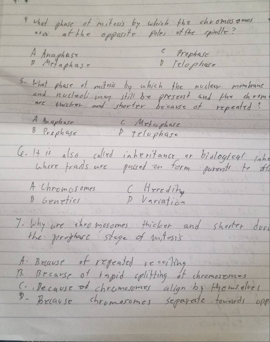 what phase of mitosis by which the chromosomes
now at the opposite poles of the spindle?
A Anaphast
c Prophase
P Metaphas
D Telophase
5. What phase of milosis by which the nocles mombrane
and nocled may still be present and the chrom
are thickor and shorter because of repeafed?
A Anaphase c Metaphase
B Prophase p. telophase
Ce. It is also called inheritance or bidlogical inh
where frads are passed en form parents to t
A. Chromosomes c Herediny
B Genefics p Variation
7. why are thromosomes thicker and shorter dor
the proghare stage of milosis
A. Because of repeated recailing
B3. Because of rapid splitting of chromosomes
C. , Decause chrcmosomes align by thewselves
D. Because chromosomes separate fowards opg