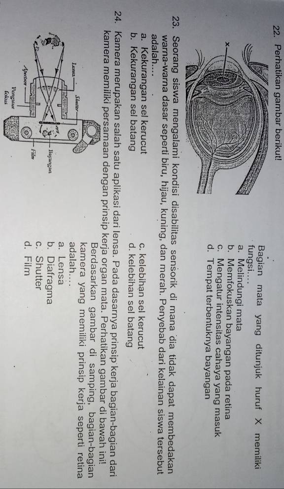 Perhatikan gambar berikut!
Bagian mata yang ditunjuk huruf X memiliki
fungsi....
a. Melindungi mata
b. Memfokuskan bayangan pada retina
c. Mengatur intensitas cahaya yang masuk
d. Tempat terbentuknya bayangan
23. Seorang siswa mengalami kondisi disabilitas sensorik di mana dia tidak dapat membedakan
warna-warna dasar seperti biru, hijau, kuning, dan merah. Penyebab dari kelainan siswa tersebut
adalah....
a. Kekurangan sel kerucut c. kelebihan sel kerucut
b. Kekurangan sel batang d. kelebihan sel batang
24. Kamera merupakan salah satu aplikasi dari lensa. Pada dasarnya prinsip kerja bagian-bagian dari
kamera memiliki persamaan dengan prinsip kerja organ mata. Perhatikan gambar di bawah ini!
Berdasarkan gambar di samping, bagian-bagian
kamera yang memiliki prinsip kerja seperti retina
adalah....
a. Lensa
b. Diafragma
c. Shutter
d. Film