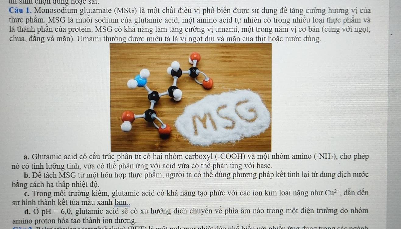 th sih chọn đùng hoạc sai.
Câu 1. Monosodium glutamate (MSG) là một chất điều vị phổ biến được sử dụng để tăng cường hương vị của
thực phẩm. MSG là muối sodium của glutamic acid, một amino acid tự nhiên có trong nhiều loại thực phẩm và
là thành phần của protein. MSG có khả năng làm tăng cường vị umami, một trong năm vị cơ bản (cùng với ngọt,
chua, đăng và mặn). Umami thường được miêu tả là vị ngọt dịu và mặn của thịt hoặc nước dùng.
a. Glutamic acid có cấu trúc phân tử có hai nhóm carboxyl (-COOH) và một nhóm amino (-NH₂), cho phép
nó có tính lưỡng tính, vừa có thể phản ứng với acid vừa có thể phản ứng với base.
b. Để tách MSG từ một hỗn hợp thực phẩm, người ta có thể dùng phương pháp kết tinh lại từ dung dịch nước
bằng cách hạ thấp nhiệt độ.
c. Trong môi trường kiềm, glutamic acid có khả năng tạo phức với các ion kim loại nặng như Cu^(2+) , dẫn đến
sự hình thành kết tủa màu xanh lam..
d. OpH=6, 0 , glutamic acid sẽ có xu hướng dịch chuyền về phía âm nào trong một điện trường do nhóm
amino proton hóa tạo thành ion dương.