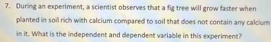 During an experiment, a scientist observes that a fig tree will grow faster when 
planted in soil rich with calcium compared to soil that does not contain any calcium 
in it. What is the independent and dependent variable in this experiment?