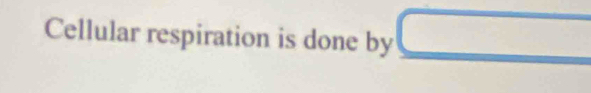 Cellular respiration is done by □