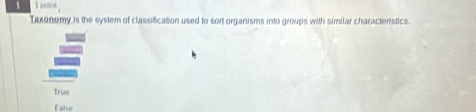 point
Taxonomy is the system of classification used to sort organisms into groups with similar characteristics.
True
false