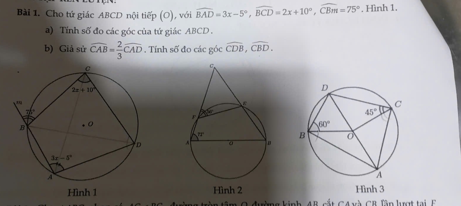 Cho tứ giác ABCD nội tiếp (O), với widehat BAD=3x-5°,widehat BCD=2x+10°,widehat CBm=75°. Hình 1.
a) Tính số đo các góc của tứ giác ABCD .
b) Giả sử widehat CAB= 2/3 widehat CAD. Tính số đo các góc overline CDB,overline CBD.
Hình 2 Hình 3
C  đường kinh, AB cắt CA và CB lần lượt tại  E