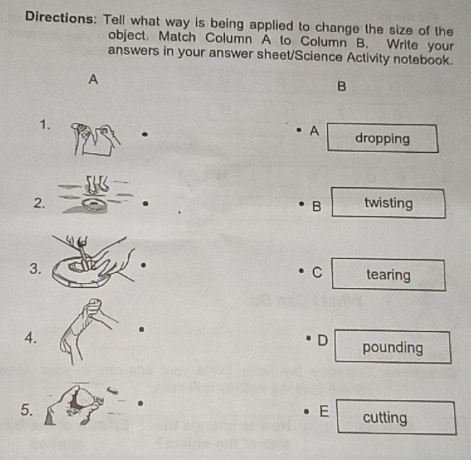 Directions: Tell what way is being applied to change the size of the
object. Match Column A to Column B. Write your
answers in your answer sheet/Science Activity notebook.
A
B
1.
A
. dropping
2. twisting
B
3.
C tearing
4.
D pounding
5.
E cutting