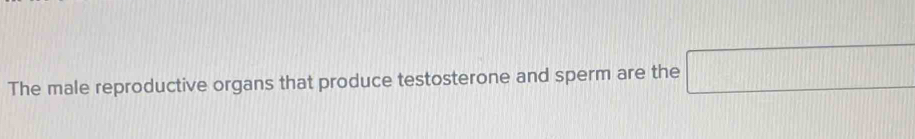 The male reproductive organs that produce testosterone and sperm are the □