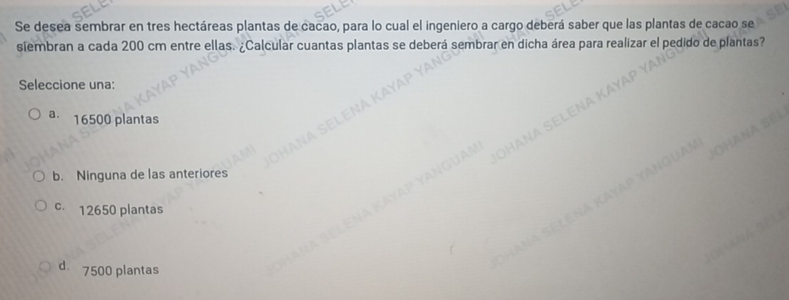 Se desea sembrar en tres hectáreas plantas de cacao, para lo cual el ingeniero a cargo deberá saber que las plantas de cacao se
siembran a cada 200 cm entre ellas. ¿Calcular cuantas plantas se deberá sembrar en dicha área para realizar el pedido de plantas?
Seleccione una:
a. 16500 plantas
b. Ninguna de las anteriores
c. 12650 plantas
d. 7500 plantas