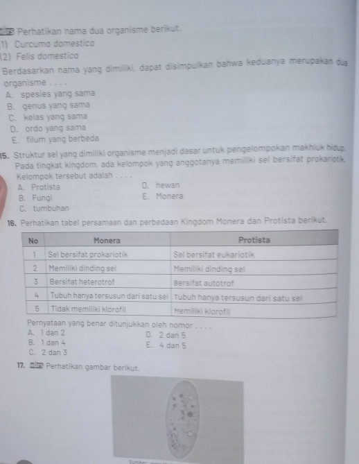 218 Perhatikan nama dua organisme berikut.
(1) Curcuma domestica
(2) Felis domestica
Berdasarkan nama yang dimiliki, dapat disimpulkan bahwa keduanya merupakan du
organisme . . . .
A. spesies yang sama
B. genus yang sama
C. kelas yang sama
D. ordo yang sama
E. filum yang berbeda
5. Struktur sel yang dimiliki organisme menjadi dasar untuk pengelompokan makhluk hidup.
Pada tingkat kingdom, ada kelompok yang anggotanya memiliki sel bersifat prokariotik
Kelompok tersebut adalah . - . .
A. Protista D. hewan
B. Fungi E. Monera
C. tumbuhan
16. Perhatikan tabel persamaan dan perbedaan Kingdom Monera dan Protista berikut.
rnyataan yang benar ditunjukkan oleh nomor . . . .
A. 1 dan 2 D. 2 dan 5
B. 1 dan 4 E. 4 dan 5
C. 2 dan 3
17. M Perhatikan gambar berikut.