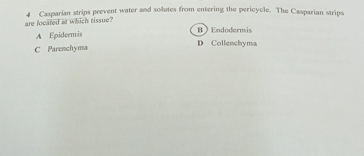 Casparian strips prevent water and solutes from entering the pericycle. The Casparian strips
are located at which tissue?
BEndodermis
A Epidermis
D Collenchyma
C Parenchyma