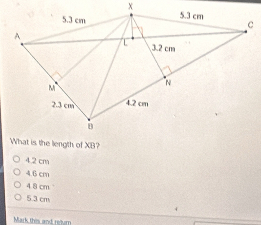 4.2 cm
4.6 cm
4 8 cm
5.3 cm
Mark this and return