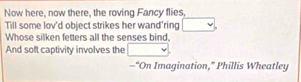 Now here, now there, the roving Fancy flies, 
Till some lov'd object strikes her wand’ring □ , 
Whose silken fetters all the senses bind, 
And soft captivity involves the □ . 
—“On Imagination,” Phillis Wheatley