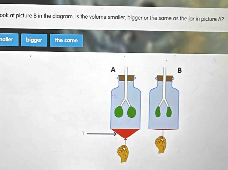 ook at picture B in the diagram. Is the volume smaller, bigger or the same as the jar in picture A?
naller bigger the same