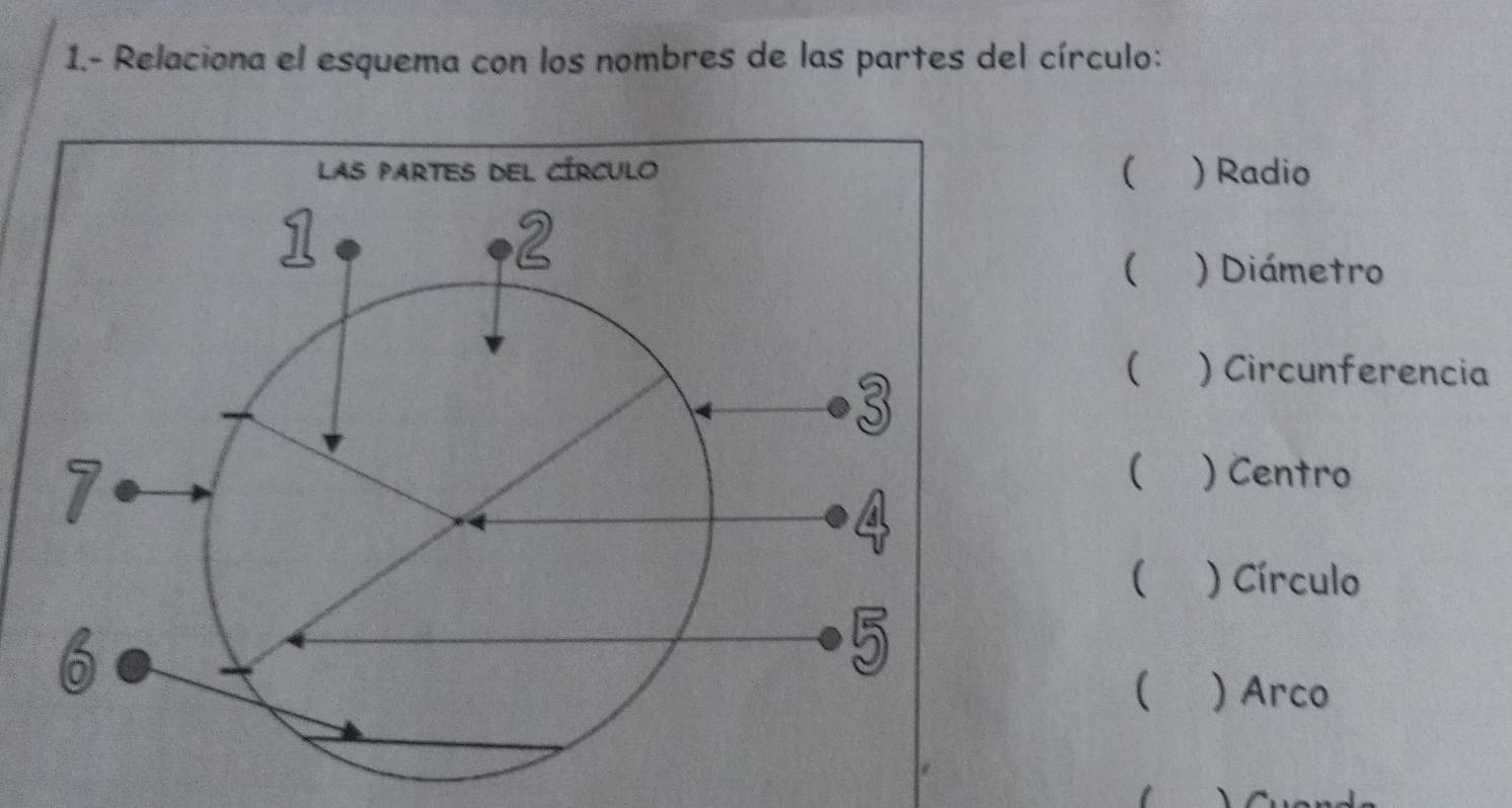 1.- Relaciona el esquema con los nombres de las partes del círculo: 
( ) Radio 
( ) Diámetro 
( ) Circunferencia 
( ) Centro 
( ) Círculo 
( ) Arco 
1