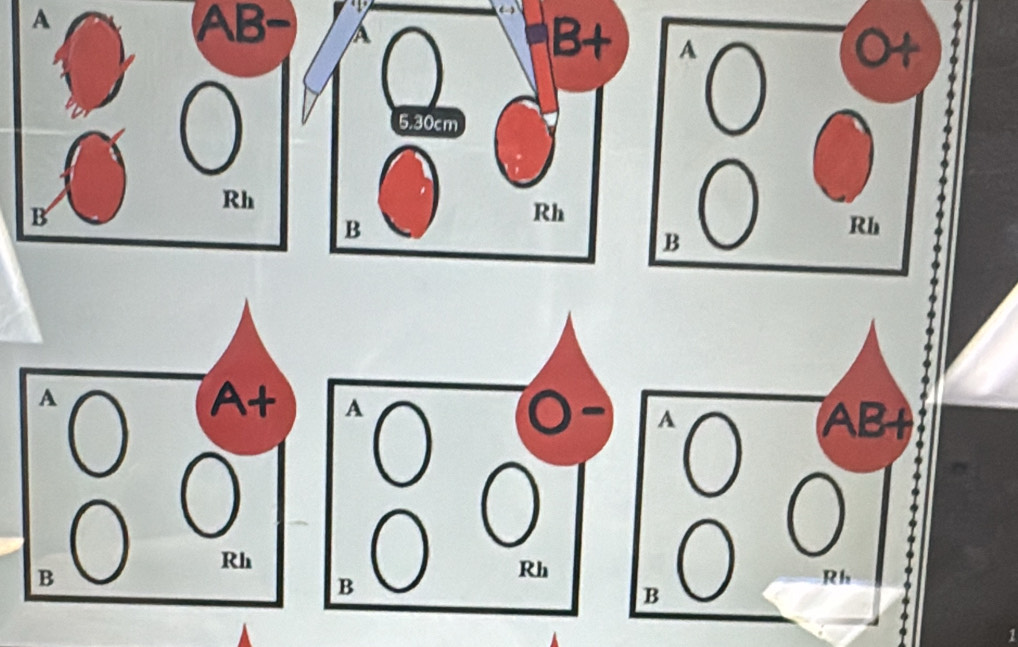 A
AB A
B+
5.30cm
1
Rh
B
Rh
B
A
At
Rh
B