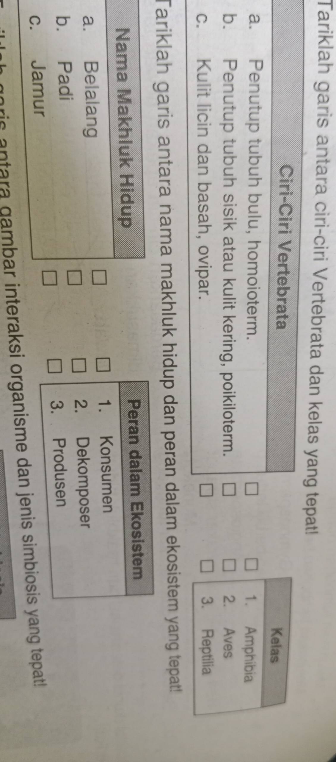 Tariklah garis antara ciri-ciri Vertebrata dan kelas yang tepat! 
Ciri-Ciri Vertebrata Kelas 
a. Penutup tubuh bulu, homoioterm. 
1. Amphibia 
b. Penutup tubuh sisik atau kulit kering, poikiloterm. 2. Aves 
c. Kulit licin dan basah, ovipar. 3. Reptilia 
Tariklah garis antara nama makhluk hidup dan peran dalam ekosistem yang tepat! 
Peran dalam Ekosistem 
1. Konsumen 
2. Dekomposer 
3. Produsen 
rie antarteraksi organisme dan jenis simbiosis yang tepat!