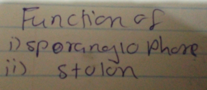 Funchion of
) speranglo phore
i) stoion