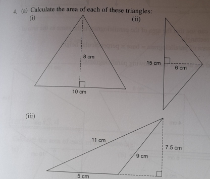 (ii) 
(iii)