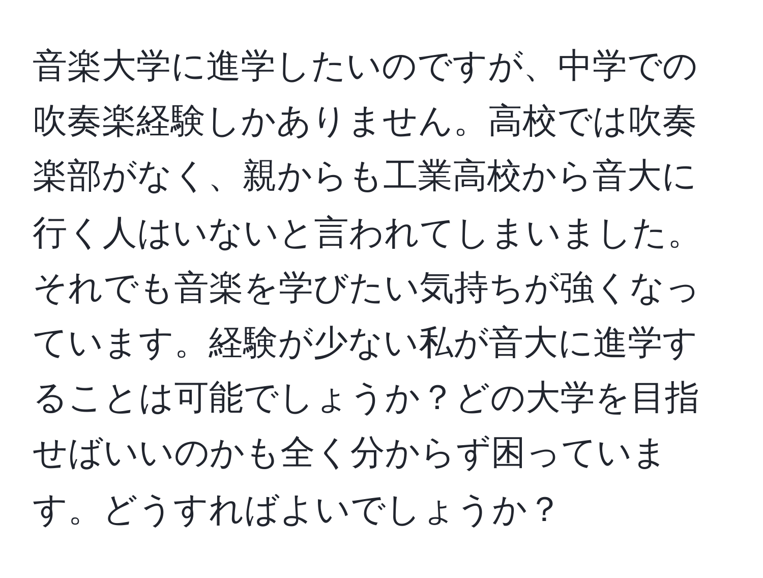 音楽大学に進学したいのですが、中学での吹奏楽経験しかありません。高校では吹奏楽部がなく、親からも工業高校から音大に行く人はいないと言われてしまいました。それでも音楽を学びたい気持ちが強くなっています。経験が少ない私が音大に進学することは可能でしょうか？どの大学を目指せばいいのかも全く分からず困っています。どうすればよいでしょうか？