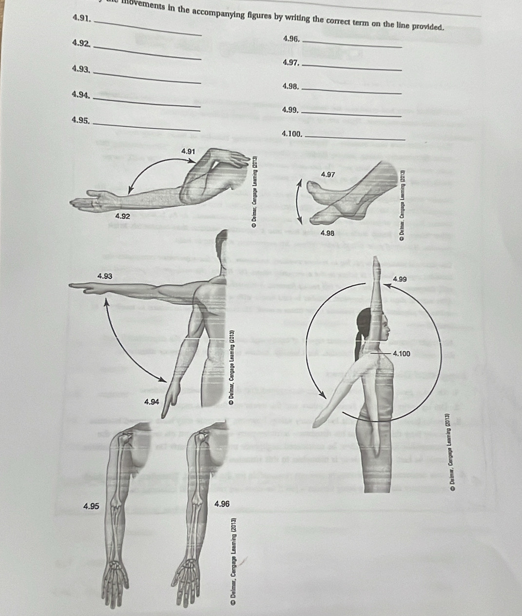 movements in the accompanying figures by writing the correct term on the line provided. 
4. 91._ 
_ 
4. 92. 
4. 96._ 
4. 97._ 
_ 
4. 93. 
4. 98._ 
4. 94. 
_ 
4. 99._ 
_ 
4. 95. 
4. 100._