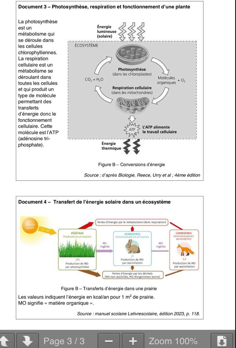 Document 3 - Photosynthèse, respiration et fonctionnement d'une plante
La photosynthès
est un
métabolisme qui
se déroule dans
les cellules 
chlorophylliennes
La respiration
cellulaire est un
métabolisme se
déroulant dans
toutes les cellule
et qui produit un
type de molécule
permettant des
transferts
d'énergie donc l
fonctionnement
cellulaire. Cette
molécule est l'AT
(adénosine tri-
phosphate). 
Page 3 / 3 + Zoom 100%