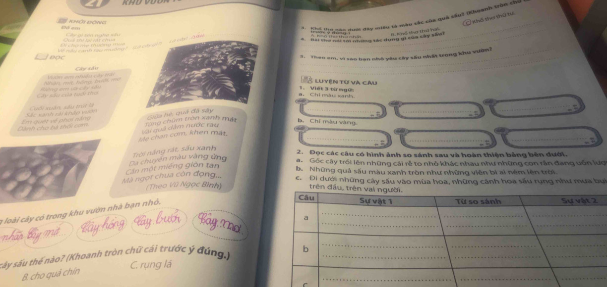 Đ Khời ĐộNG
Đố em
*   tuố k  đony pưới đay miêu tả màu sắc của quả sấu? (Khoanh tròn chu
Ở Khổ thơ thứ tự.
_B. Khổ thơ thứ hai.
Quả thị lại rát chua Cây gi tên nghe xấu
_
Về nàu canh ràu muờng ' '' 
Đi chợ mẹ thuờng mùa
ĐOC
Cây sấu5. Theo em, vì sao ban nhỏ vêu cây sấu nhất trong khu vườn?
Vươn em nhiều cây trán
Nhân, mít, hồng, bưới, mo
LUyện tử và cÂu
Riêng em ựa cây sâu
1. Viết 3 từ ngữ:
Cây sáu của tuổi thơ
a. Chỉ màu xanh
Cuối xuấn, sấu trút là
Sắc xanh rải khấp vườn
Em quét về phơi nắng
Giữa hè, quả đ
_
_
_
a
Dành cho bà thối cơm. Từng chùm tròn xanh mát
b. Chỉ màu vàng.
_
Vài quả dâm nước rau
_
_
Mẹ chan cơm, khen mát,
Trời nắng rát, sấu xanh
2. Đọc các câu có hình ảnh so sánh sau và hoàn thiện bảng bên dưới.
Da chuyển màu vàng ứng
a. Gốc cây trồi lên những cái rễ to nhỏ khác nhau như những con rần đang uốn lượ
Cần một miếng giòn tan
b. Những quả sấu màu xanh tròn như những viên bi ai ném lên trời
Mà ngọt chua còn đọng...
c.  Đi dưới những cây sấu vào mùa hoa, những cánh hoa sấu rụng như mưa bụi
(Theo Vũ Ngọc Bình)
trê
1 loài cây có trong khu vườn nhà bạn nhỏ.
wha
bay, Maot
sây sấu thế nào? (Khoanh tròn chữ cái trước ý đúng.)
C. rụng lá
B. cho quả chín
C