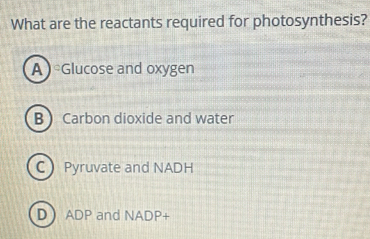 What are the reactants required for photosynthesis?
A) Glucose and oxygen
BCarbon dioxide and water
C Pyruvate and NADH
D ADP and NADP+