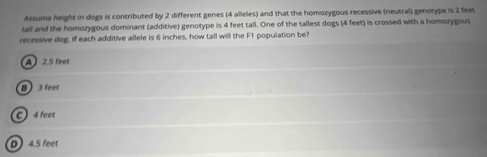 Assume height in dogs is contributed by 2 different genes (4 alleles) and that the homozygous recessive (neutral) genotype is 2 feet
tall and the homozygous dominant (additive) genotype is 4 feet tall. One of the tallest dogs (4 feet) is crossed with a homozygous
recessive dog. If each additive allele is 6 inches, how tall will the F1 population be?
A 2.5 feet
B 3 feet
C 4 feet
D 4.5 feet