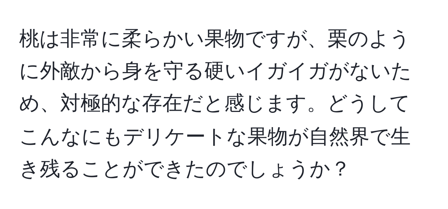 桃は非常に柔らかい果物ですが、栗のように外敵から身を守る硬いイガイガがないため、対極的な存在だと感じます。どうしてこんなにもデリケートな果物が自然界で生き残ることができたのでしょうか？