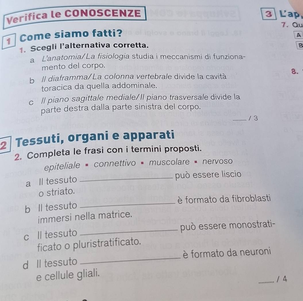 Verifica le CONOSCENZE 3 Lap
7. Qu
1 Come siamo fatti?
A
1. Scegli l'alternativa corretta. B
a L'anatomia/La fisiologia studia i meccanismi di funziona-
mento del corpo.
8.
b ll diaframma/La colonna vertebrale divide la cavità
toracica da quella addominale.
c ll piano sagittale mediale/II piano trasversale divide la
parte destra dalla parte sinistra del corpo.
_/ 3
2 Tessuti, organi e apparati
2. Completa le frasi con i termini proposti.
epiteliale = connettivo = muscolare = nervoso
a ll tessuto
_può essere liscio
o striato.
è formato da fibroblasti
b ll tessuto
_
immersi nella matrice.
c ll tessuto _può essere monostrati-
ficato o pluristratificato.
è formato da neuroni
d ll tessuto
_
e cellule gliali.
_/ 4