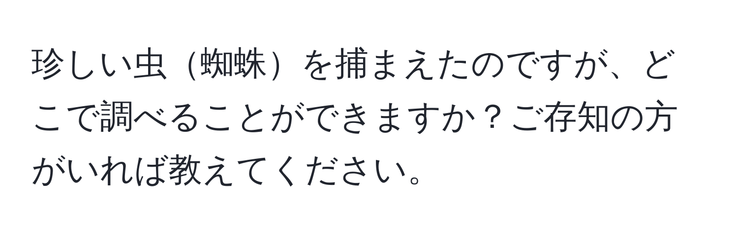 珍しい虫蜘蛛を捕まえたのですが、どこで調べることができますか？ご存知の方がいれば教えてください。