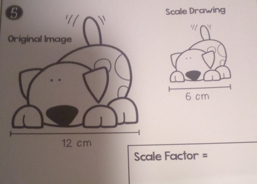 Scale Drawing 
Scale Factor =