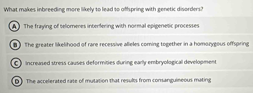 What makes inbreeding more likely to lead to offspring with genetic disorders?
A The fraying of telomeres interfering with normal epigenetic processes
B)The greater likelihood of rare recessive alleles coming together in a homozygous offspring
C Increased stress causes deformities during early embryological development
D) The accelerated rate of mutation that results from consanguineous mating