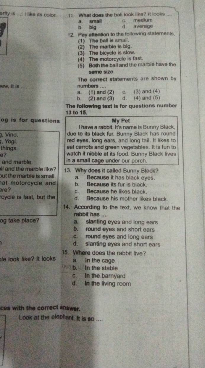 erly is .... I like its color. 11. What does the ball look like? it looks ....
a. small c. medium
b. big d. average
12. Pay attention to the following statements.
(1) The ball is small.
(2) The marble is big.
(3) The bicycle is slow.
(4) The motorcycle is fast.
(5) Both the ball and the marble have the
same size.
The correct statements are shown by
ew, it is .... numbers ....
a. (1) and (2) c. (3) and (4)
b. (2) and (3) d. (4) and (5)
The following text is for questions number
13 to 15.
og is for questions My Pet
I have a rabbit. It's name is Bunny Black,
g, Vino. due to its black fur. Bunny Black has round
, Yogi. red eyes, long ears, and long tail. It likes to
things. eat carrots and green vegetables. It is fun to
e?
watch it nibble at its food. Bunny Black lives
and marble. in a small cage under our porch.
all and the marble like? 13. Why does it called Bunny Black?
but the marble is small. a. Because it has black eyes.
at motorcycle and b. Because its fur is black.
re? c. Because he likes black.
rcycle is fast, but the d. Because his mother likes black
14. According to the text, we know that the
rabbit has ....
og take place? a. slanting eyes and long ears
b. round eyes and short ears
c. round eyes and long ears
d. slanting eyes and short ears
15. Where does the rabbit live?
le look like? It looks a. In the cage
b. In the stable
c. In the barnyard
d. In the living room
ces with the correct answer.
Look at the elephant. It is so ....