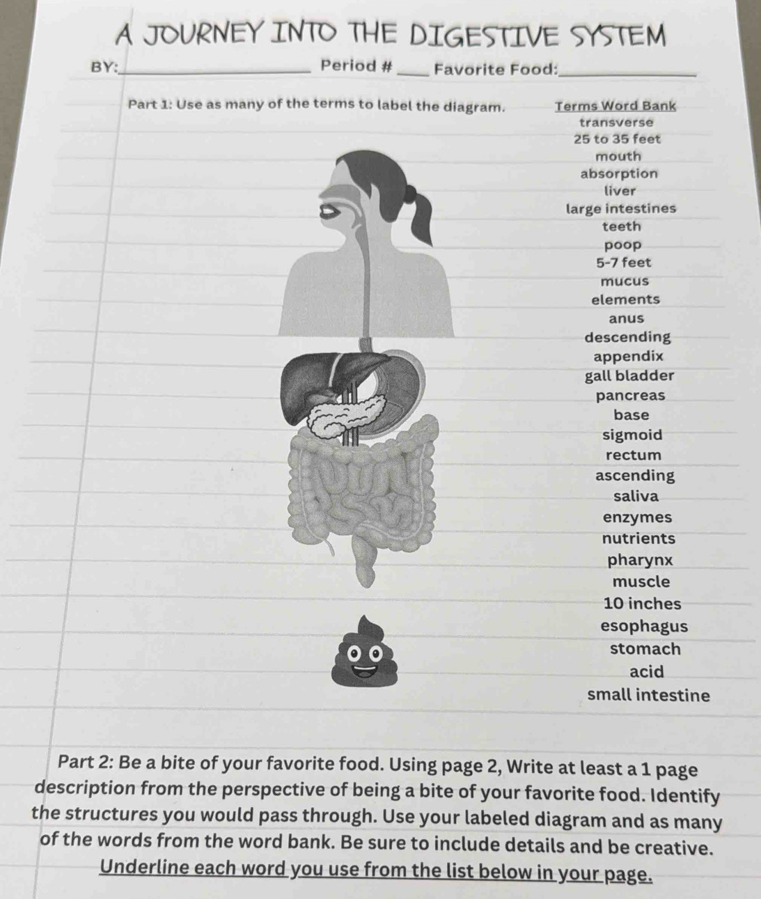 Solved: A JOURNEY INTO THE DIGESTIVE SYSTEM BY:_ Period # _Favorite ...