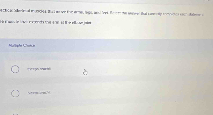 actice: Skeletal muscles that move the arms, legs, and feet. Select the answer that correctly completes each statement
he muscle that extends the arm at the elbow joint:
Multiple Choice
triceps brachii
biceps brachli