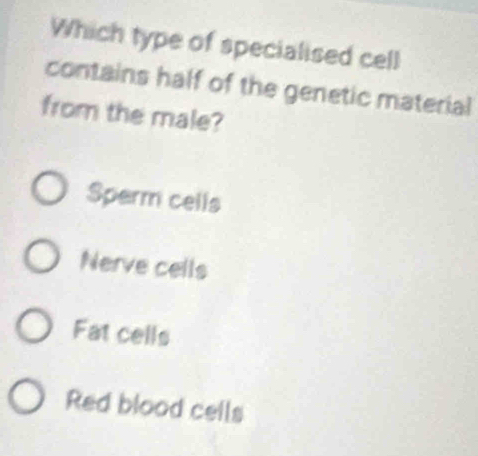 Which type of specialised cell
contains half of the genetic material
from the male?
Sperm cells
Nerve cells
Fat cells
Red blood cells