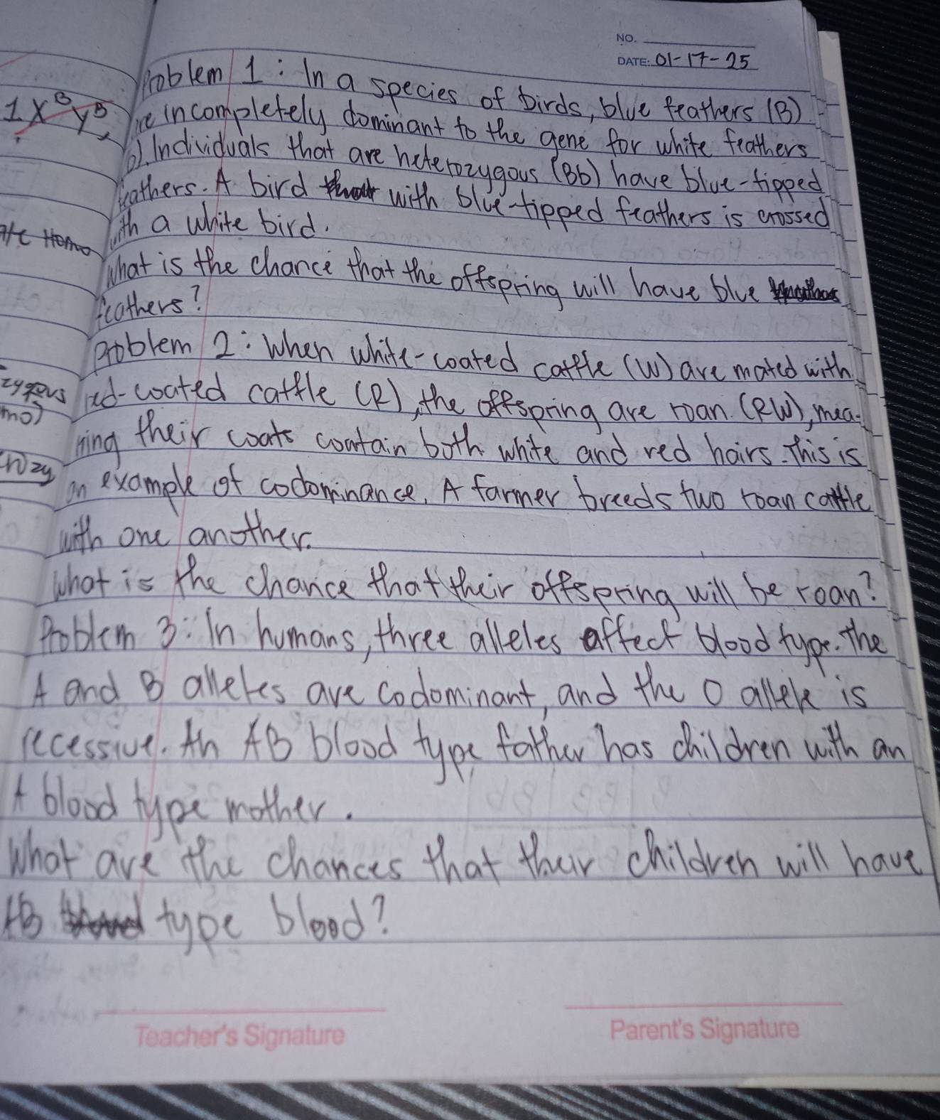 01-17-25 
poblem 1: In a species of birds, blue feathers (B)
1x^By^5 re incompletely dominant to the gene for white feathers 
! Indvidual that are haketozygous (Bb) have blue-tipped 
bathers. A bird h with blue-tipped feathers is enssed 
with a white bird. 
What is the chance that the offspring will have blue 
fcathers? 
problem 2: When white-coated catple (W) are mated with 
lyeu ad-coated catfle (P), the offspring are roan (RW)
mo) , mea. 
ning their coat contain both white and red hairs. This is 
Wzy 
in example of cocominance. A farmer breeds two roan cotle 
with one another. 
what is the chance that their offspring will be roan? 
problem 3: In humons, three alleles affect blood tyoe. the 
A and B alleles are coolominant, and the O allek is 
aecessive. An AB blood type father has children with an 
A blood type mother. 
what are the chances that their children will have 
type blood?