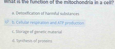 What is the function of the mitochondria in a cell?
a. Detoxification of harmful substances
b. Cellular respiration and ATP production
c. Storage of genetic material
d. Synthesis of proteins