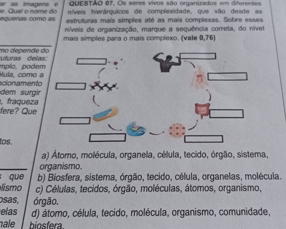 ar as imagens e QUESTÃO 07. Os seres vivos são organizados em diferentes
e. Qual o nome do níveis hierárquicos de complexidade, que vão desde as
equenas como as estruturas mais simples até as mais complexas. Sobre esses
níveis de organização, marque a sequência correta, do nível
mais simples para o mais complexo. (vale 0,76)
mº depende 
uturas dela
mplo, podem
élula, como a
ncionamento
dem surgir
, fraqueza
fere? Que
tos.
a) Átomo, molécula, organela, célula, tecido, órgão, sistema,
organismo.
s que b) Biosfera, sistema, órgão, tecido, célula, organelas, molécula.
lismo c) Células, tecidos, órgão, moléculas, átomos, organismo,
osas, órgão.
elas d) átomo, célula, tecido, molécula, organismo, comunidade,
ale biosfera.