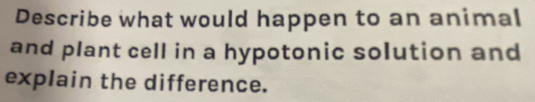 Describe what would happen to an animal 
and plant cell in a hypotonic solution and 
explain the difference.