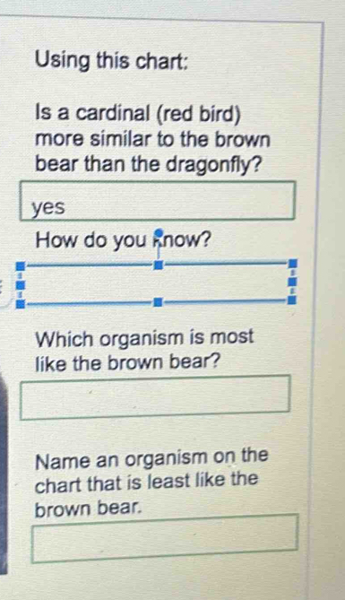 Using this chart: 
Is a cardinal (red bird) 
more similar to the brown 
bear than the dragonfly? 
yes 
How do you know? 
Which organism is most 
like the brown bear? 
Name an organism on the 
chart that is least like the 
brown bear.